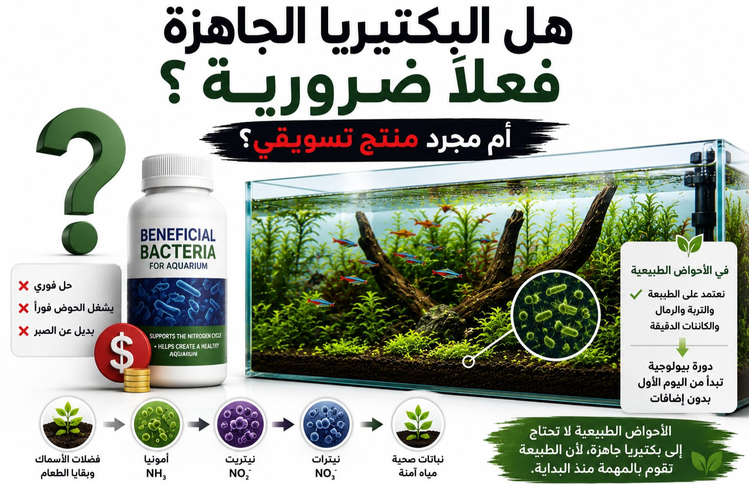 هل البكتيريا الجاهزة فعلاً ضرورية؟ أم مجرد منتج تسويقي؟