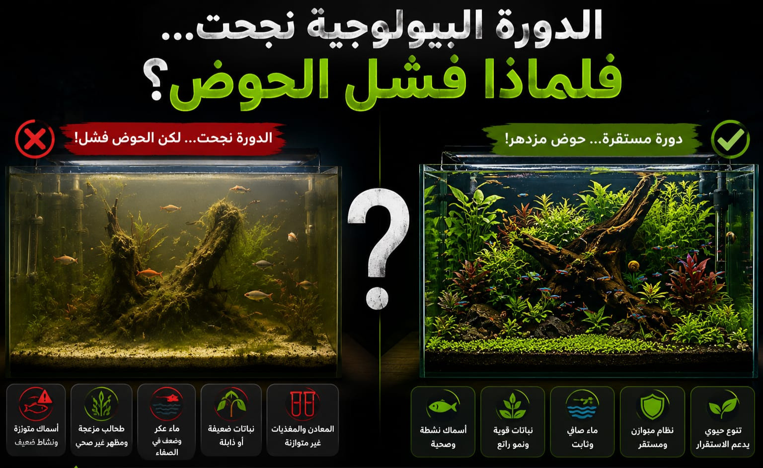 لماذا تفشل بعض الأحواض رغم نجاح الدورة البيولوجية؟
