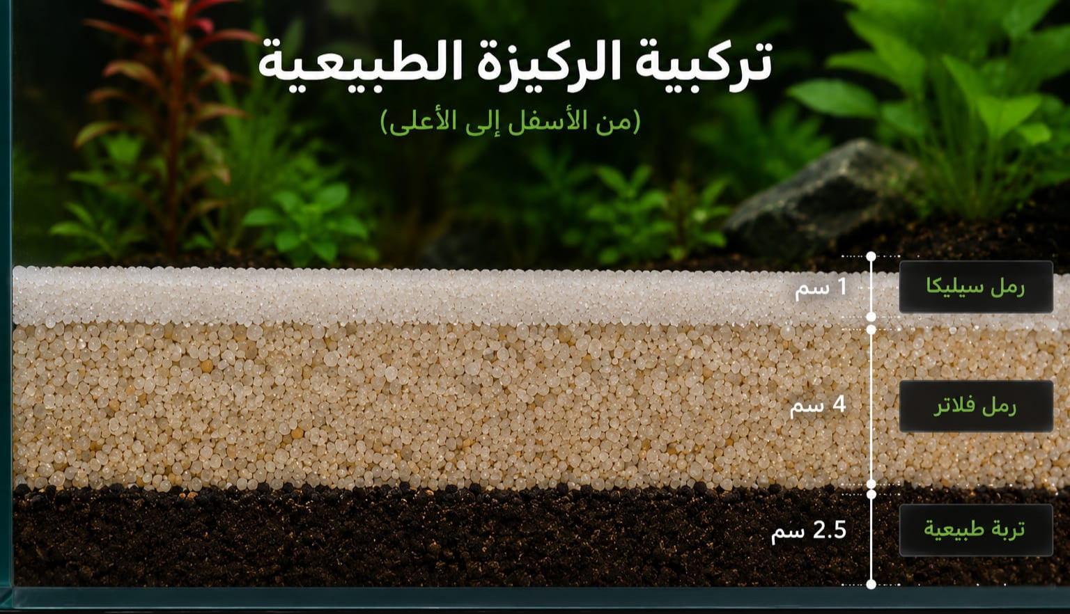 ركيزة